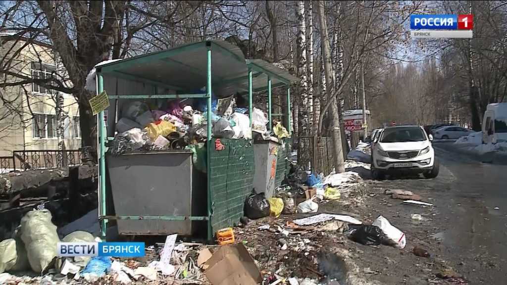 Брянцы пытаются заставить коммунальщиков вывозить мусор