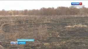 В Брянской области восстанавливают заброшенный сад