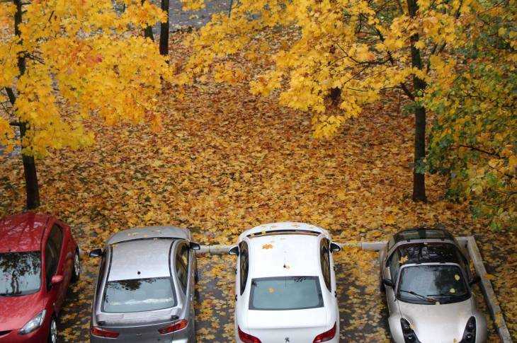 Парковка в золоте